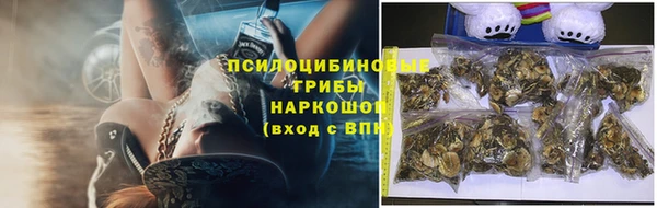 spice Балабаново