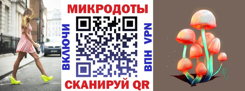 Галлюциногенные грибы Psilocybine cubensis Рудня